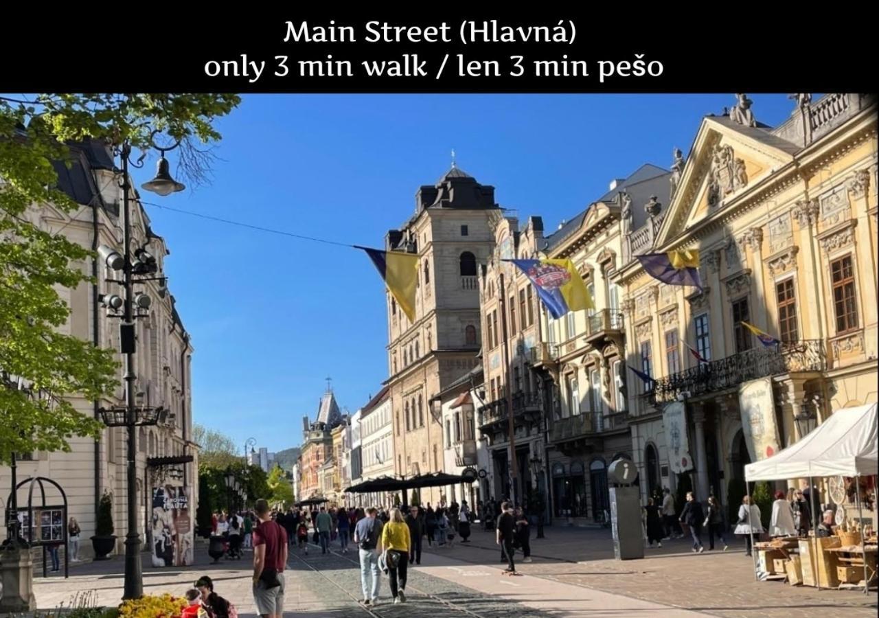 E2 Luxury Oldtown Apt - 2X Parking, Foodstore, Pcscreen, Netflix, Unlimited Music, Crib, Babychair, Fastwifi, Aircon Košice Eksteriør billede